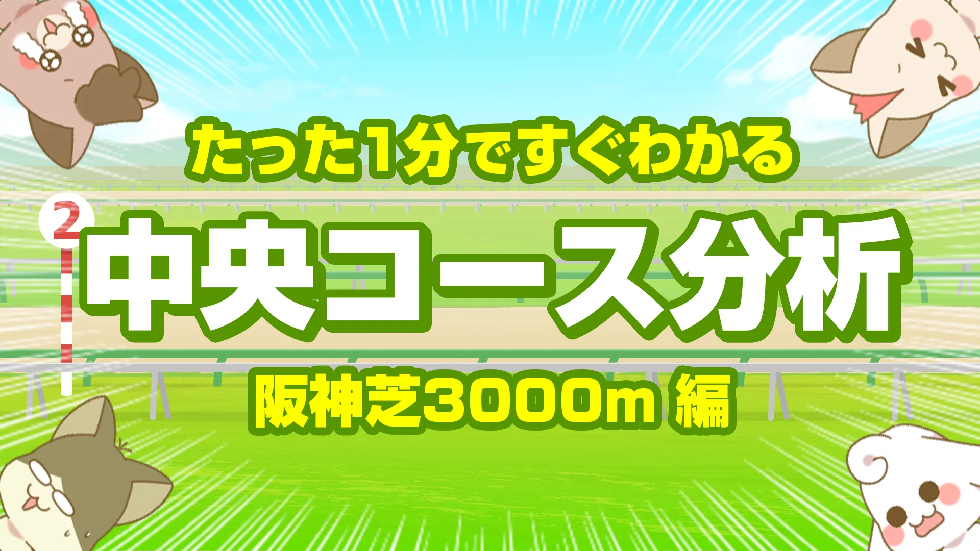 阪神芝3000mの傾向｜枠順・脚質・馬場別データで読むタフなステイヤー戦の真実