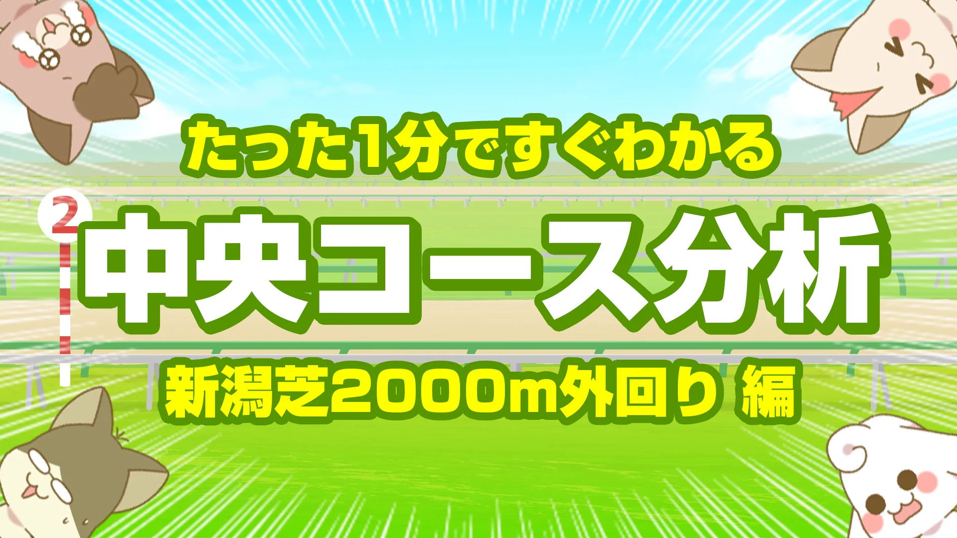 新潟芝2000m外回りの傾向｜枠順・脚質・馬場別データで読み解く末脚と持続力